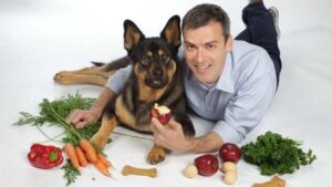 ¿Qué frutas puede comer mi perro y cuáles no?